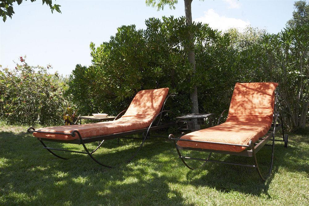 Aloasis Bed and Breakfast Grimaud Eksteriør billede